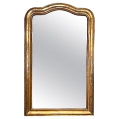 19th Century Louis Philippe Mirror 