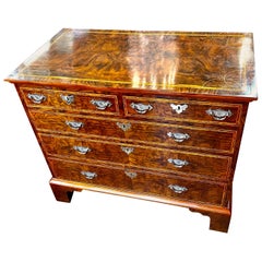 Fabulous Antique English Inlaid Burr Walnut Q.A. style 2 over 3 Chest of Drwrs.