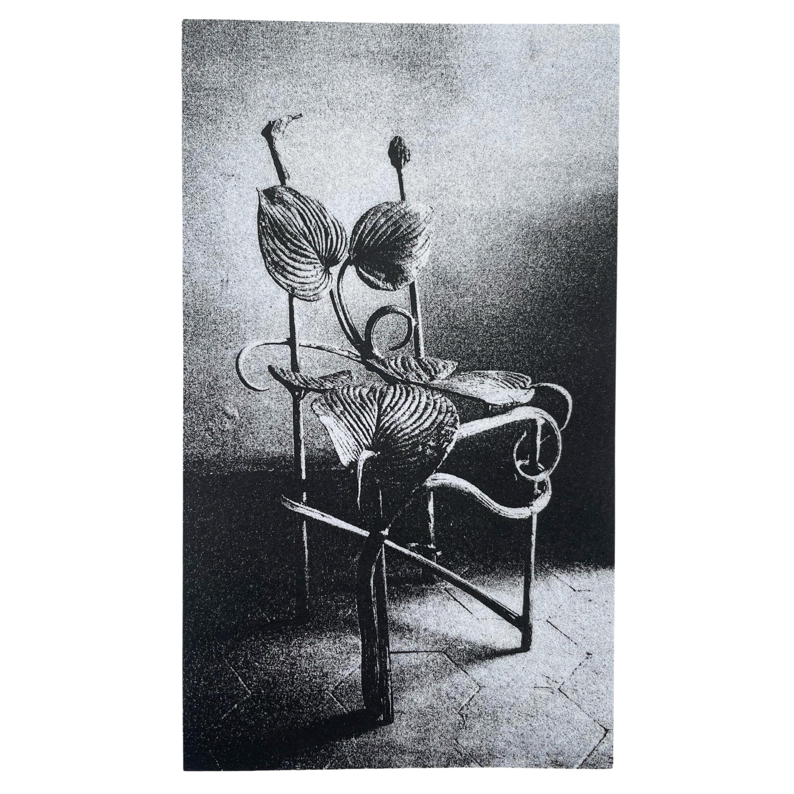 Claude Lalanne (1925-2019), Chaise Horta, gravure à l'héliogravure sur papier en vente