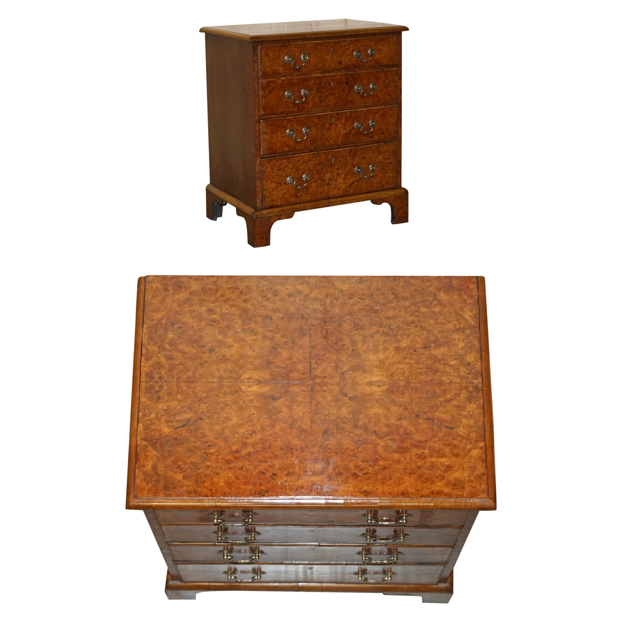 SUPER FiNE FULLY RESTORED ANTIQUE GEORGIAN CIRCA 1780 BURR ELM CHEST OF DRAWERs For Sale