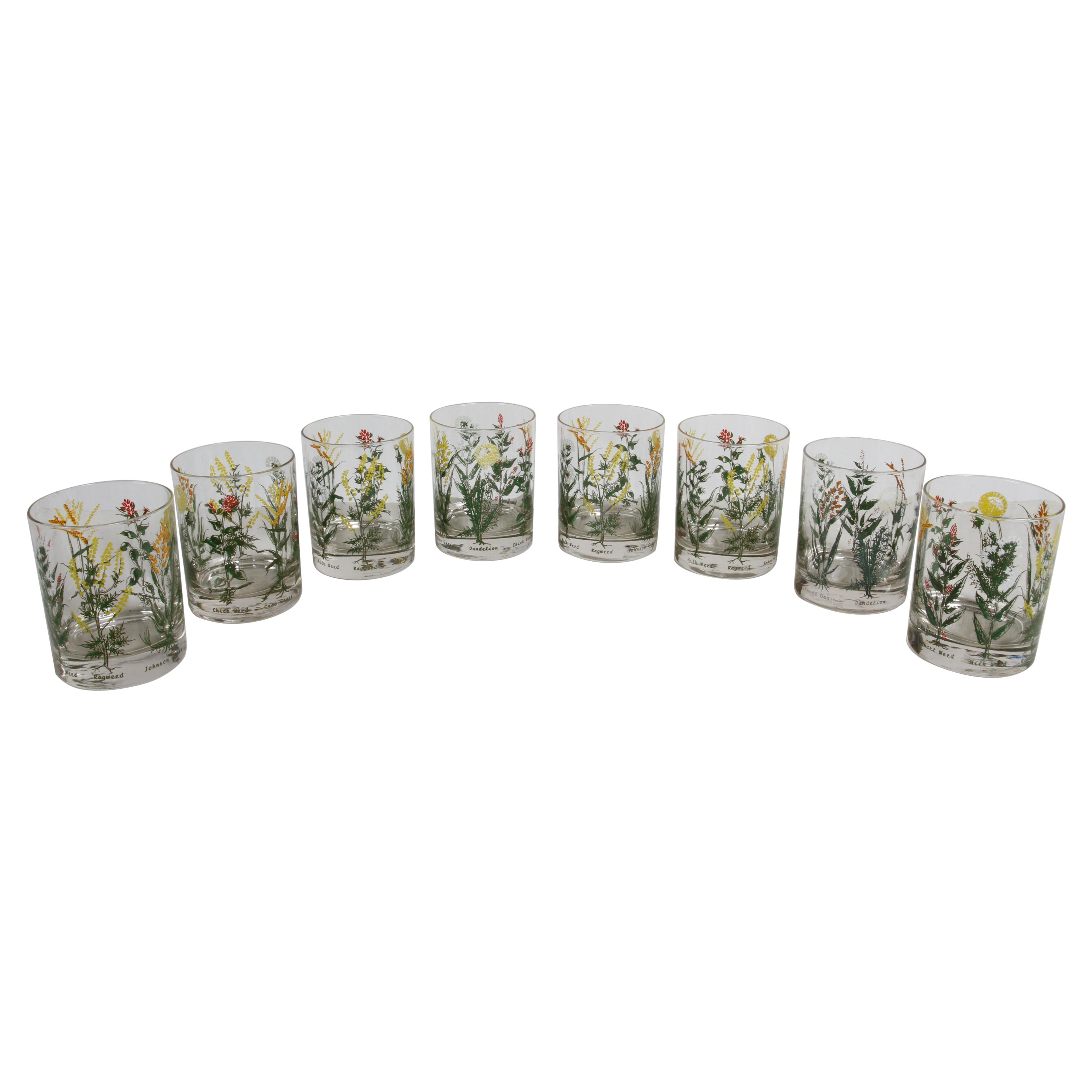 Vintage 1980s Neiman-Marcus Botanical Grasses Theme Bar Rocks Glasses Set of 6