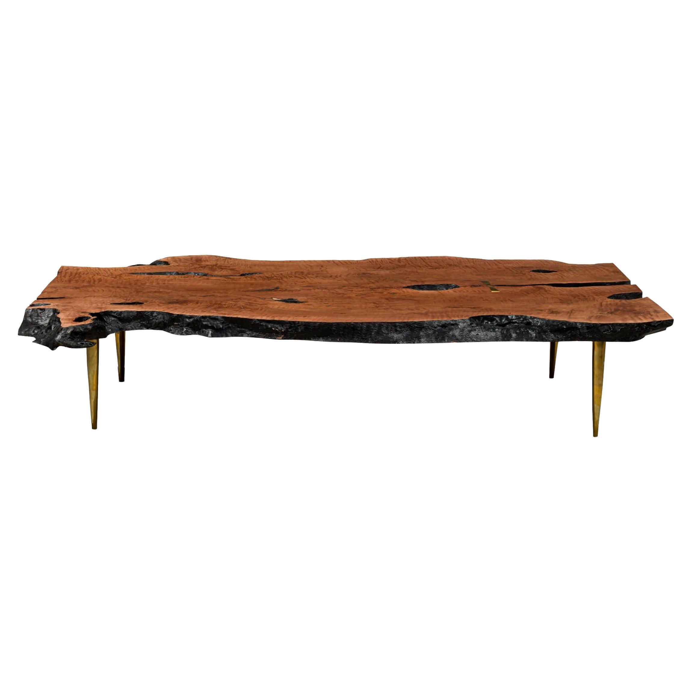 Table basse rectangulaire « Madeira » en bois pétrifié à bord vif et bronze poli