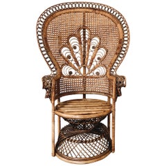 French Peacock chair, 60’s