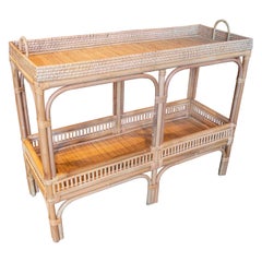 Rattan and Wicker Shelving Unit with Two Bar Shelves