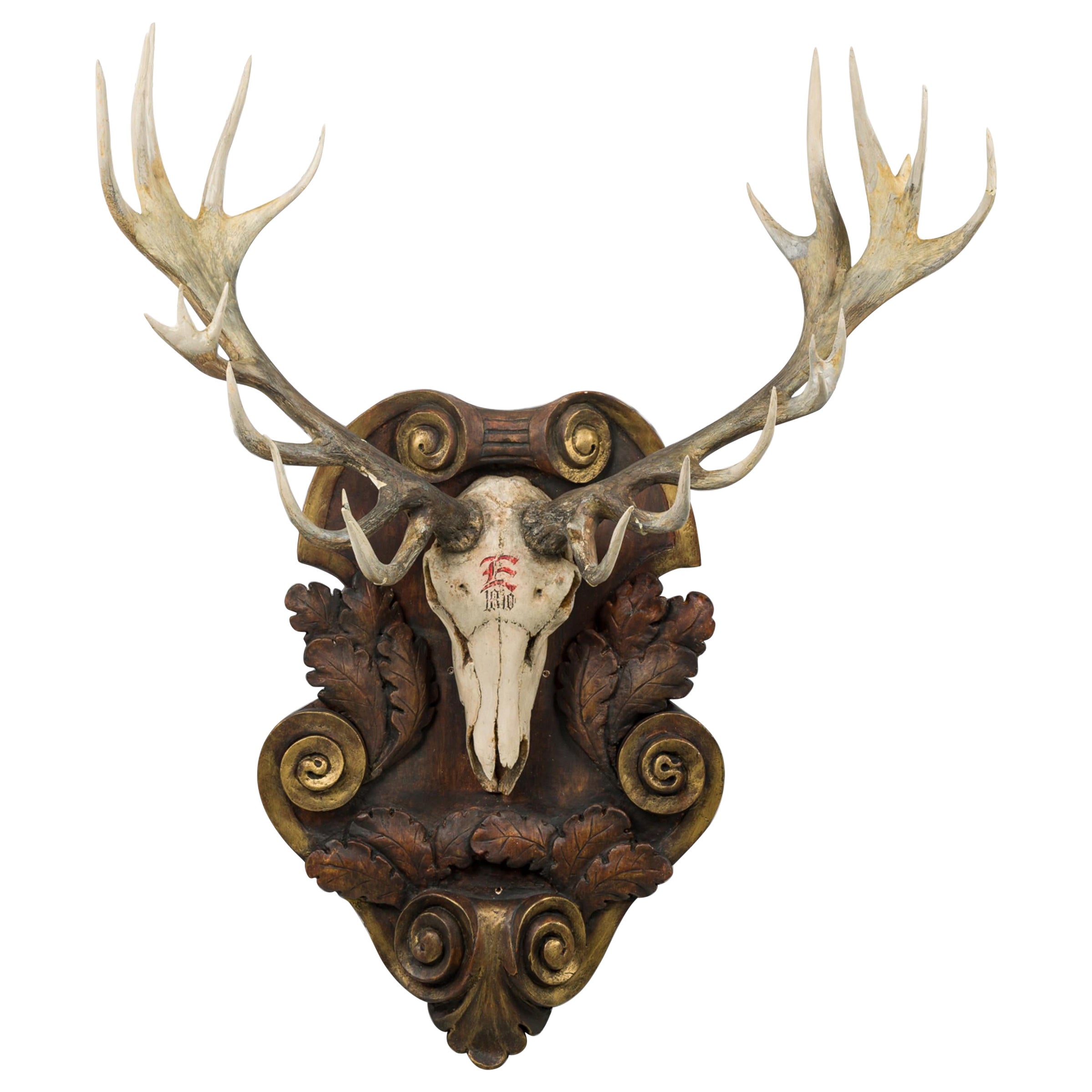 Continental Rustic Wall Plaque of Elk Head with Red Painted E on Curved Plaque