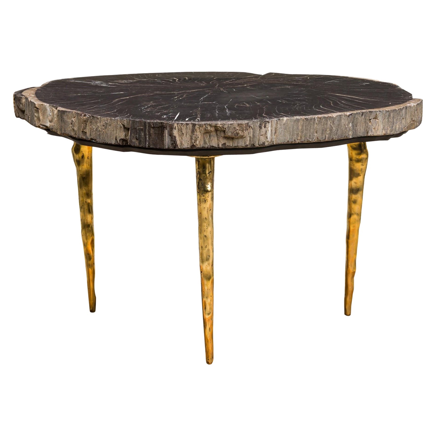 Madeira Petrified Wood Coffee Table by Newel Modern For Sale