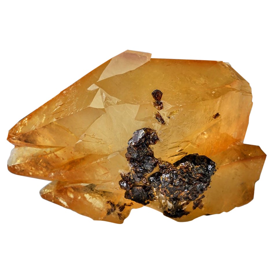 Twinned Golden Calcite Crystal from Elmwood Mine, Tennessee (515.9 grams) For Sale