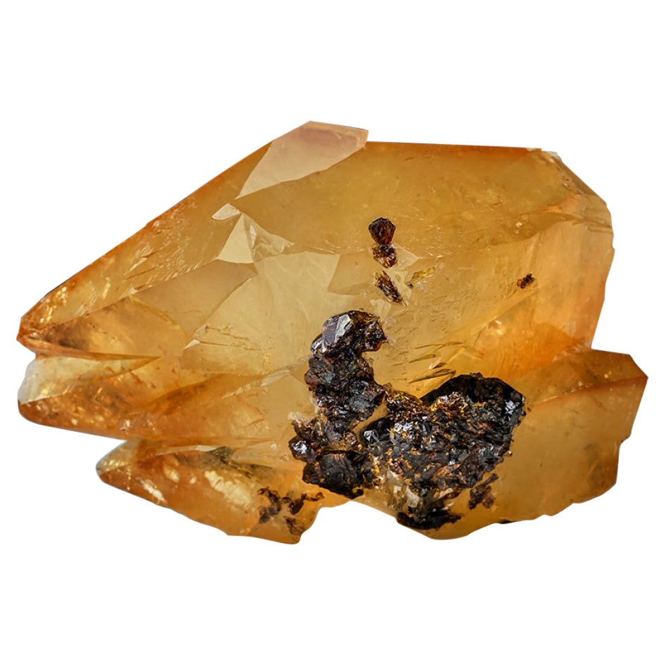 Twinned Golden Calcite Crystal from Elmwood Mine, Tennessee (515.9 grams)