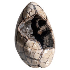 Huevo de Geoda de Druzy Septariana Pulida de Madagascar (10 libras)