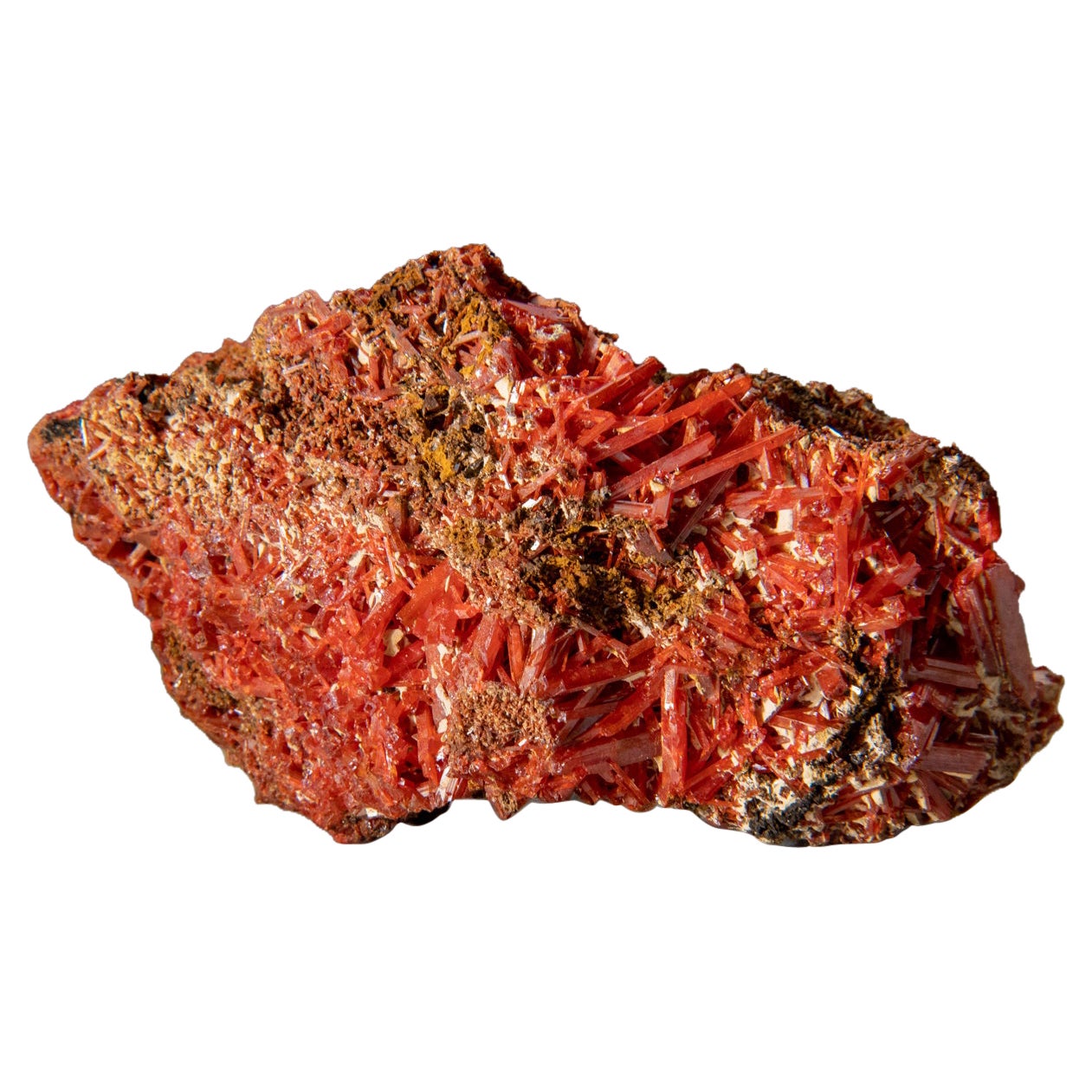 Crocoite provenant de la mine de plomb rouge de Dundas, Tasmania, Australie en vente