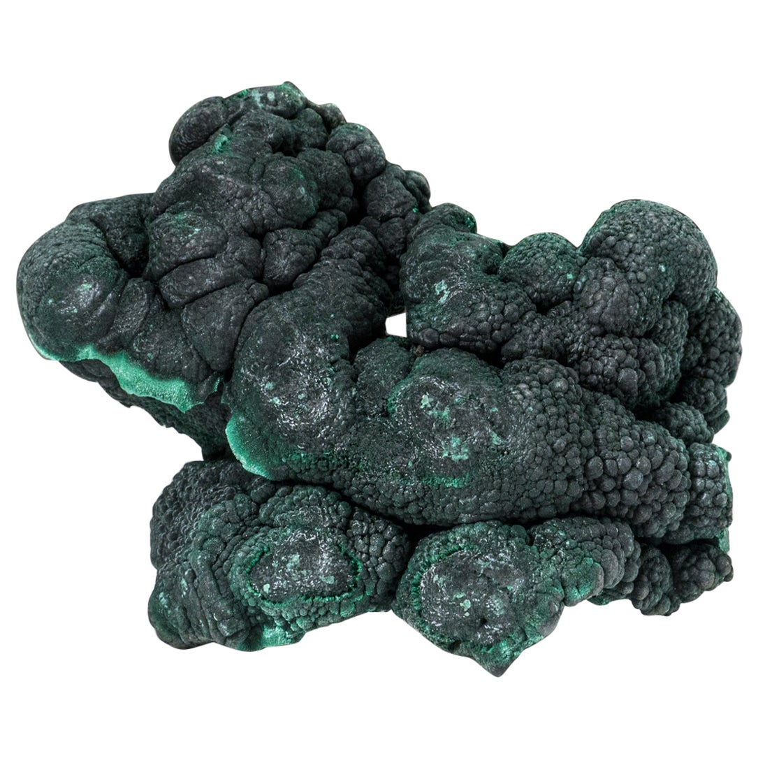 Botryoidal Malachite From Shaba Copper Belt, Democratic Republic of the Congo