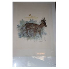 Nice Watercolour Painting with a Roebuck Grazing