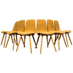 Set Of 6 Chairs Model A 6150 From Zakłady Mebli Giętych – Radomsko (Fameg), 1960