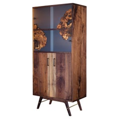 Wise Modern Cabinet with Cast Burl Sliding Panels