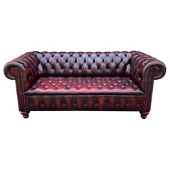 Englisches Chesterfield-Sofa aus Leder mit getuftetem Sitz in Ochsenblutrot, Mid-Century #1