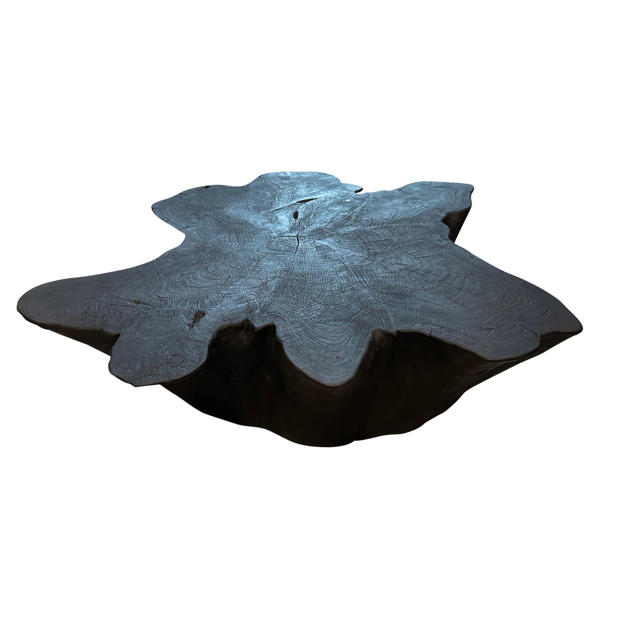 Andrianna Shamaris Sculptural Charred Coffee Table For Sale