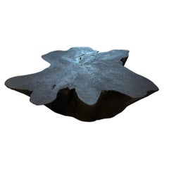 Andrianna Shamaris Sculptural Charred Coffee Table