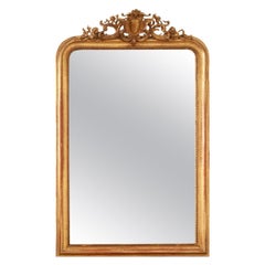 French 19th Century Gold Gilt Mirror