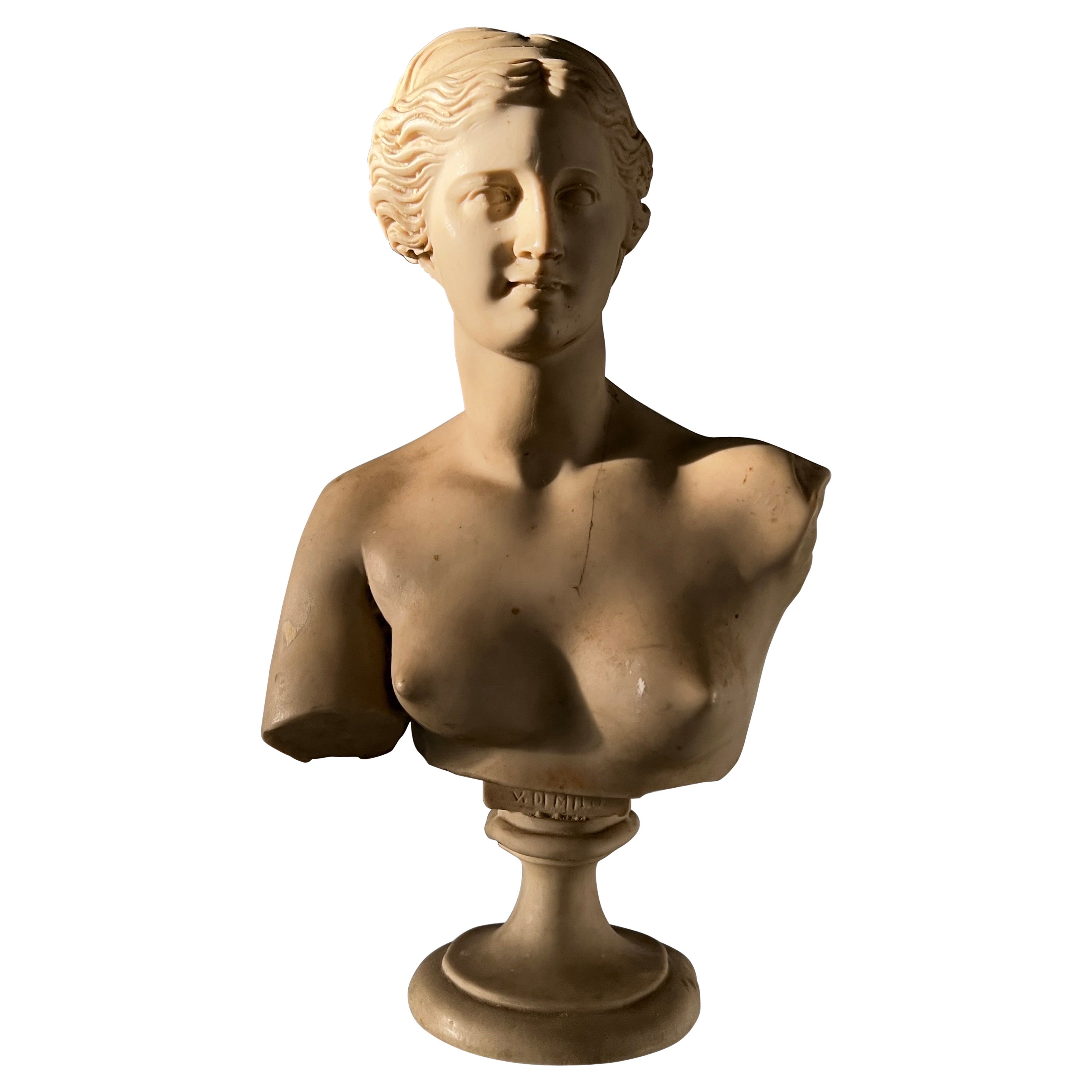 Neoclassical Bust of Venus de Milo, Italy c. 1950's