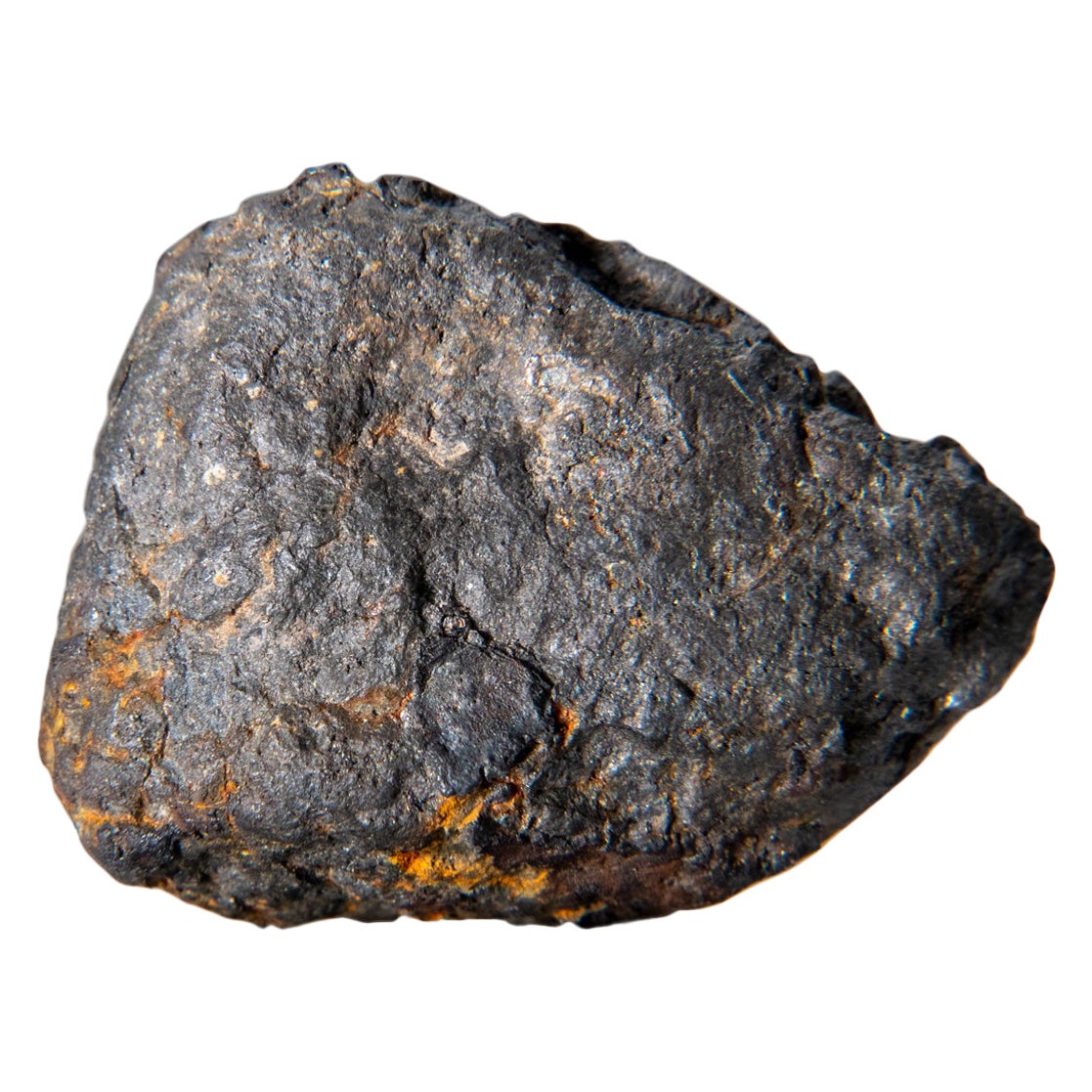 Une véritable météorite Canyon Diablo Iron (47,4 grammes)