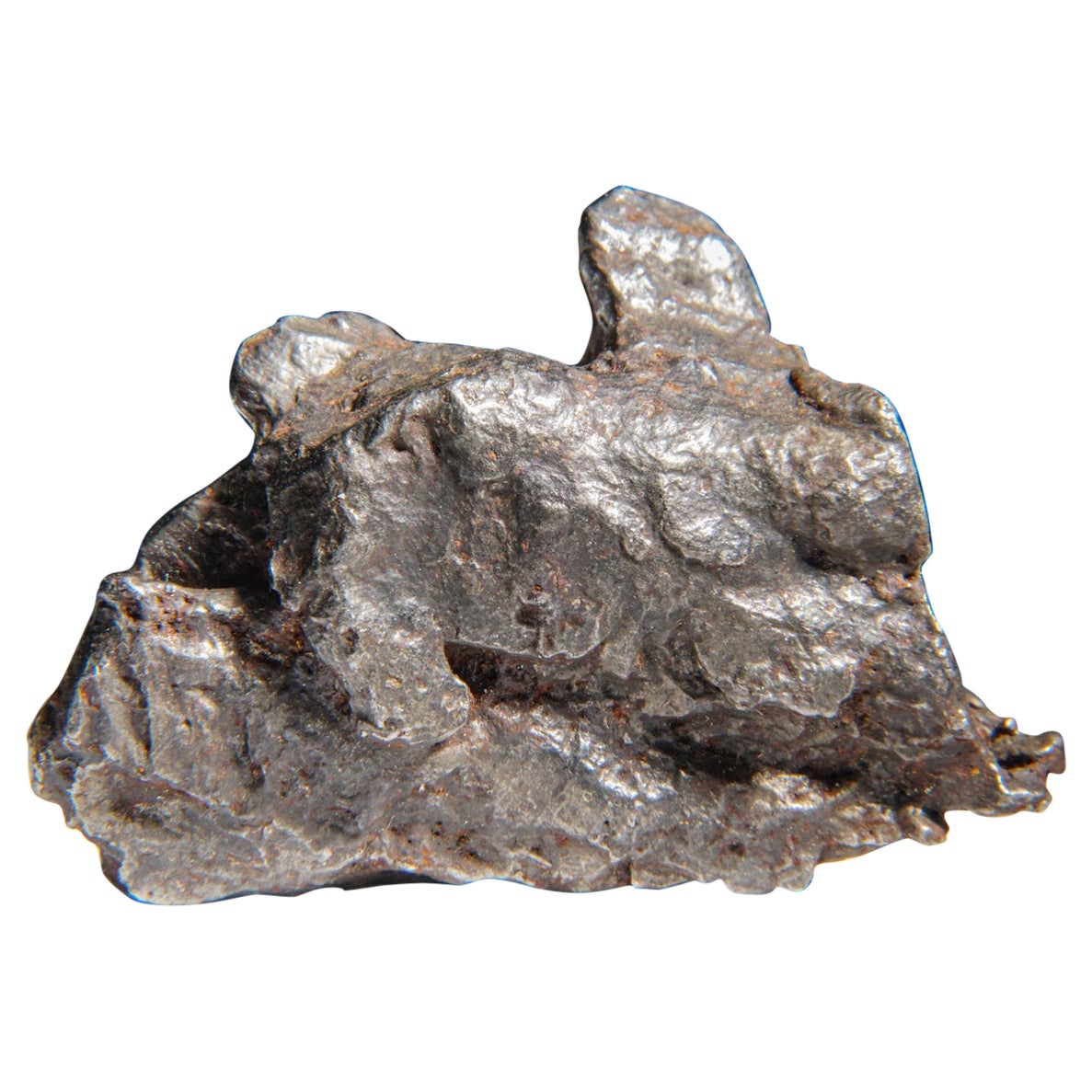 Genueuse météorite naturelle de Sikhote-Alin de Russie (105.5 grammes) en vente