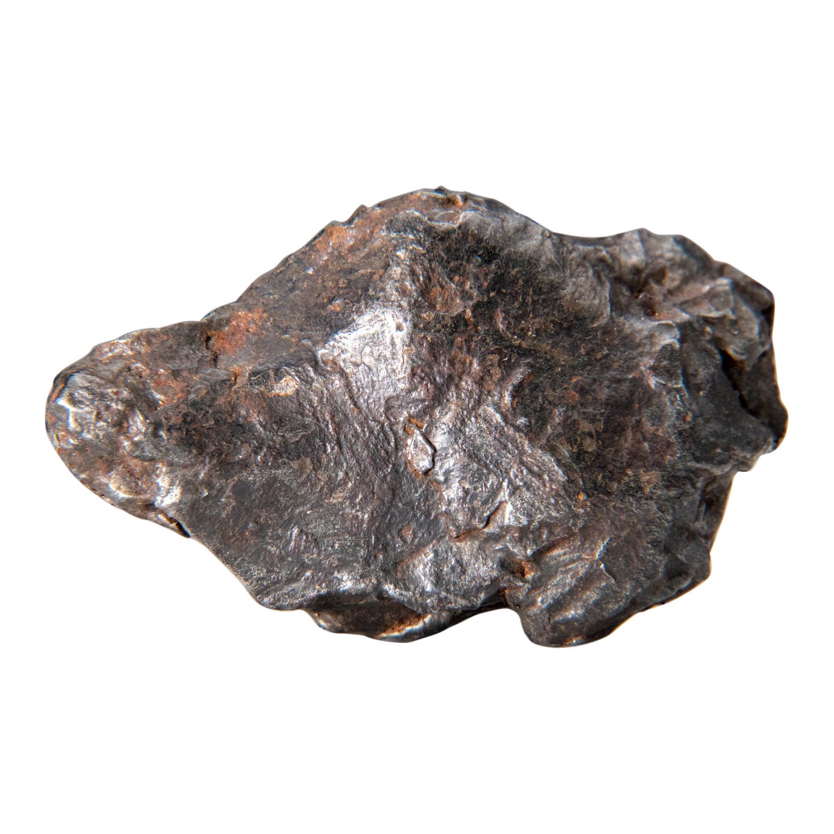 Genueuse météorite naturelle de Sikhote-Alin de Russie (76.5 grammes)