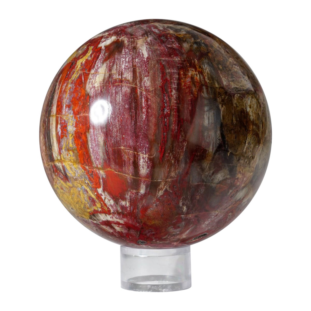 Sphère en bois pétrifié poli de Madagascar (5,5 po., 7,3 lbs)