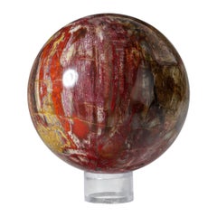 Antique Polished Petrified Wood Sphere from Madagascar (5.5", 7.3 lbs)