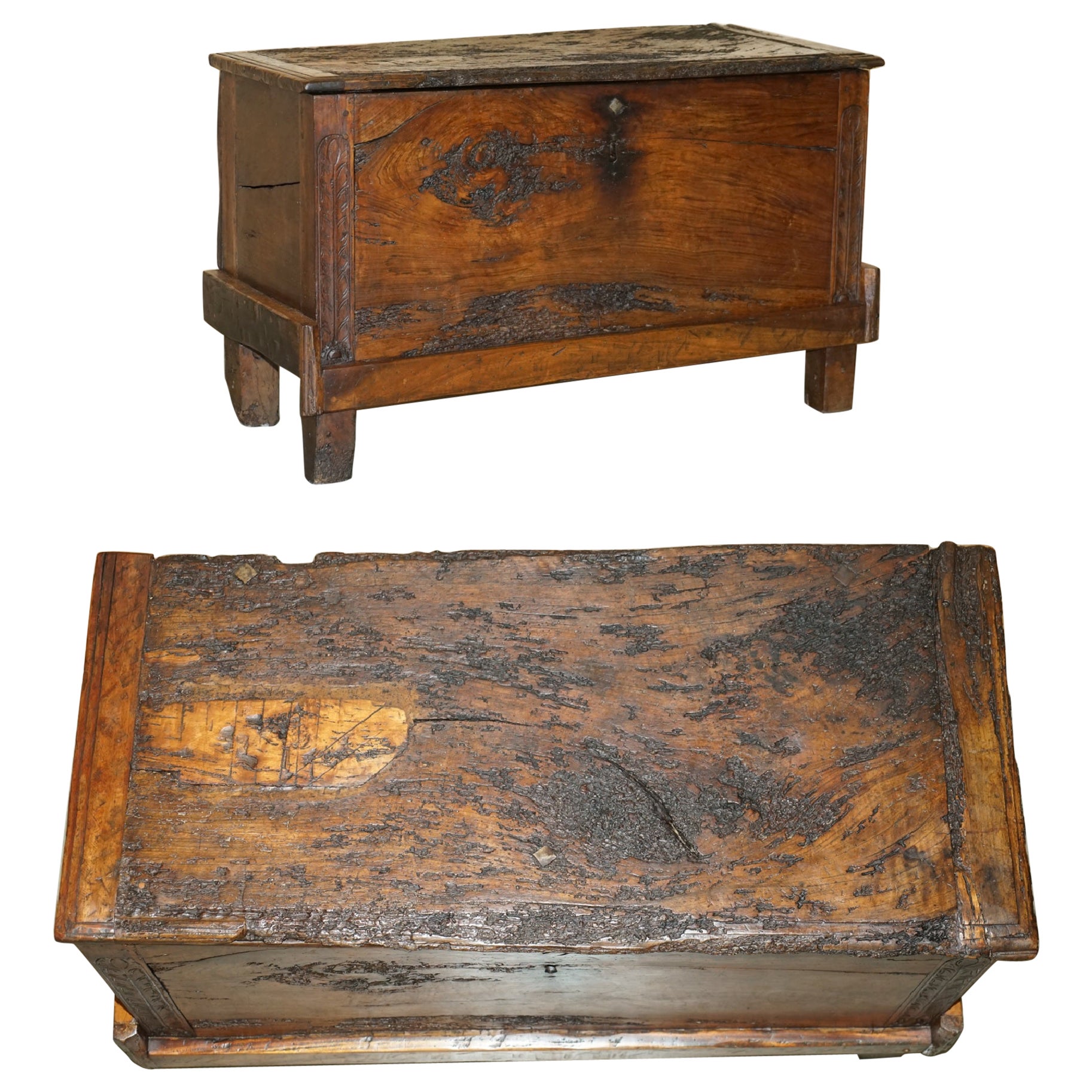 ANTiQUE 18TH CENTURY SIX PLANK HEAVILY BURRED CHESTNUT WOOD TRUNK CHEST For Sale