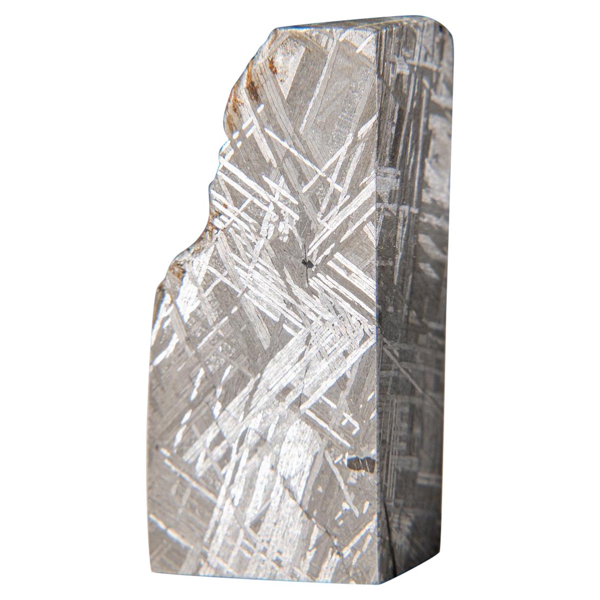 Genuine Muonionalusta Meteorite Slice (142.9 grams) For Sale