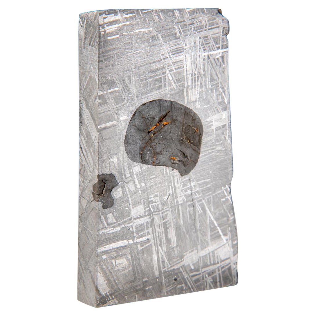 Genuine Muonionalusta Meteorite Slice (303.7 grams) For Sale