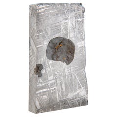 Une tranche de météorite authentique Muonusta (303.7 grammes)