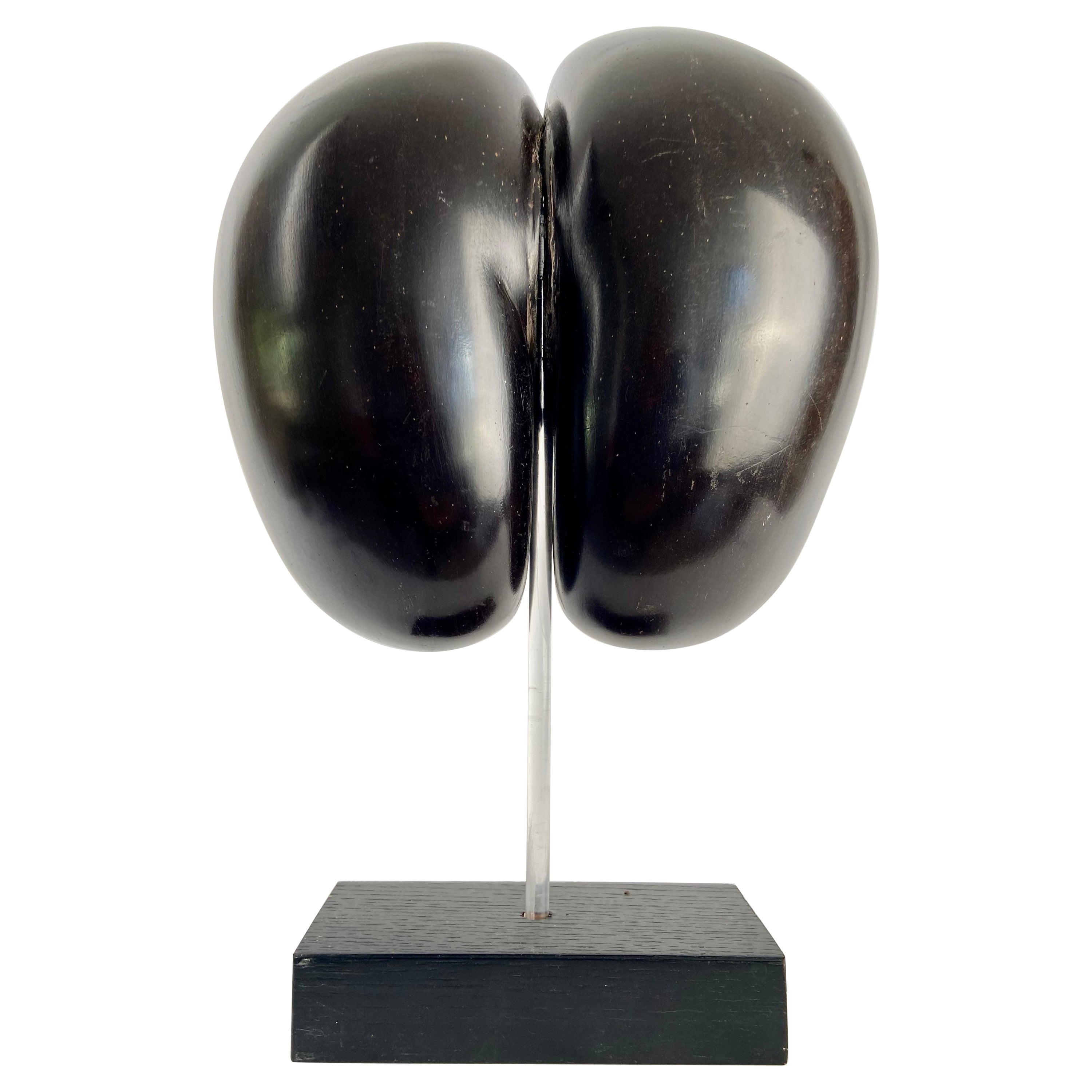 Double Formed Coconut, ‘Coco De Mer’ at 1stDibs | coco de mer for sale