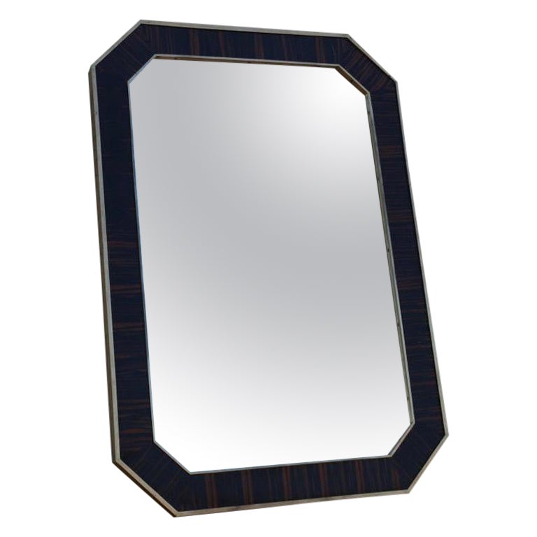 Macassar Ebony and Brass Wall Mirror Modern Style For Sale