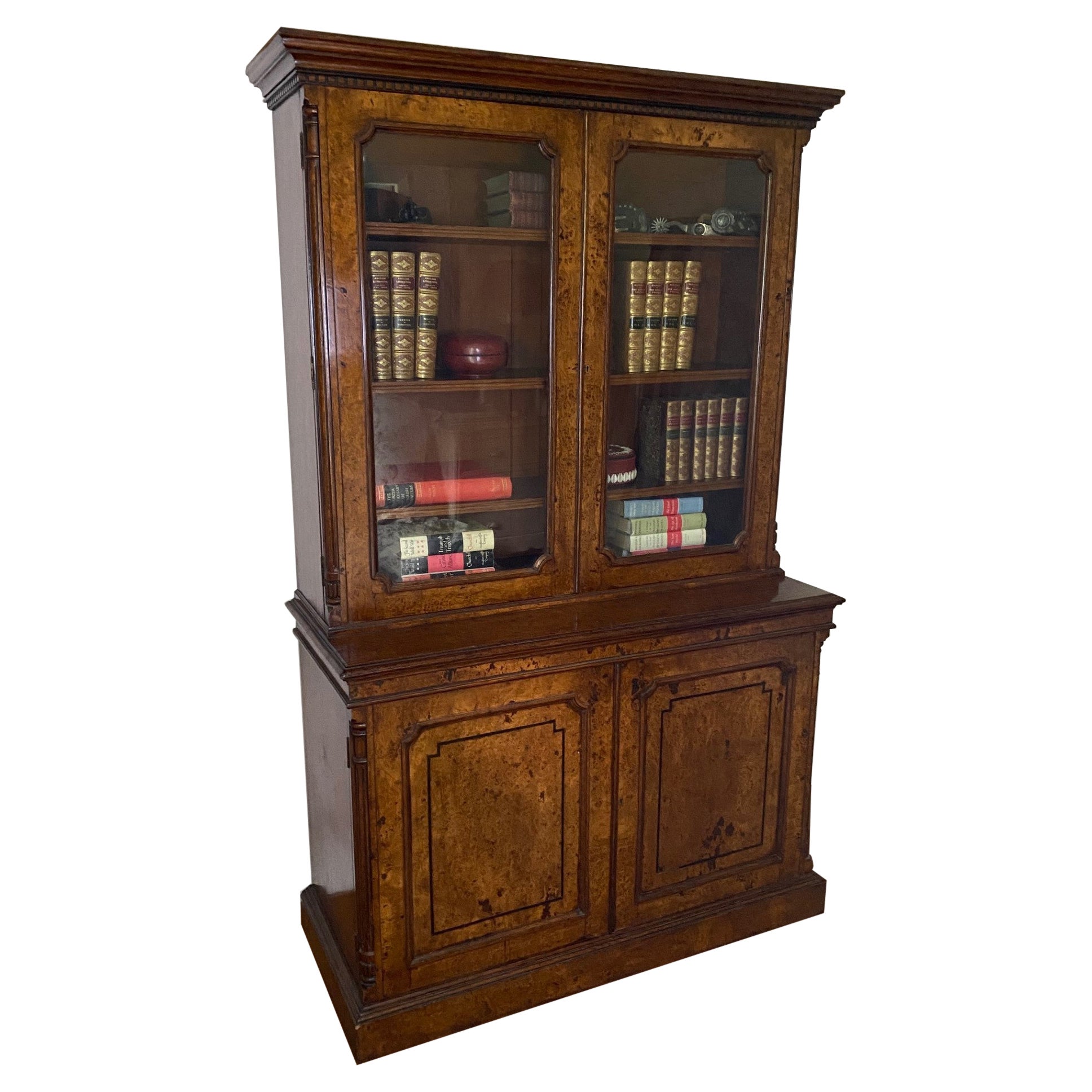19th Century Burr Oak William IV Bookcase from England For Sale
