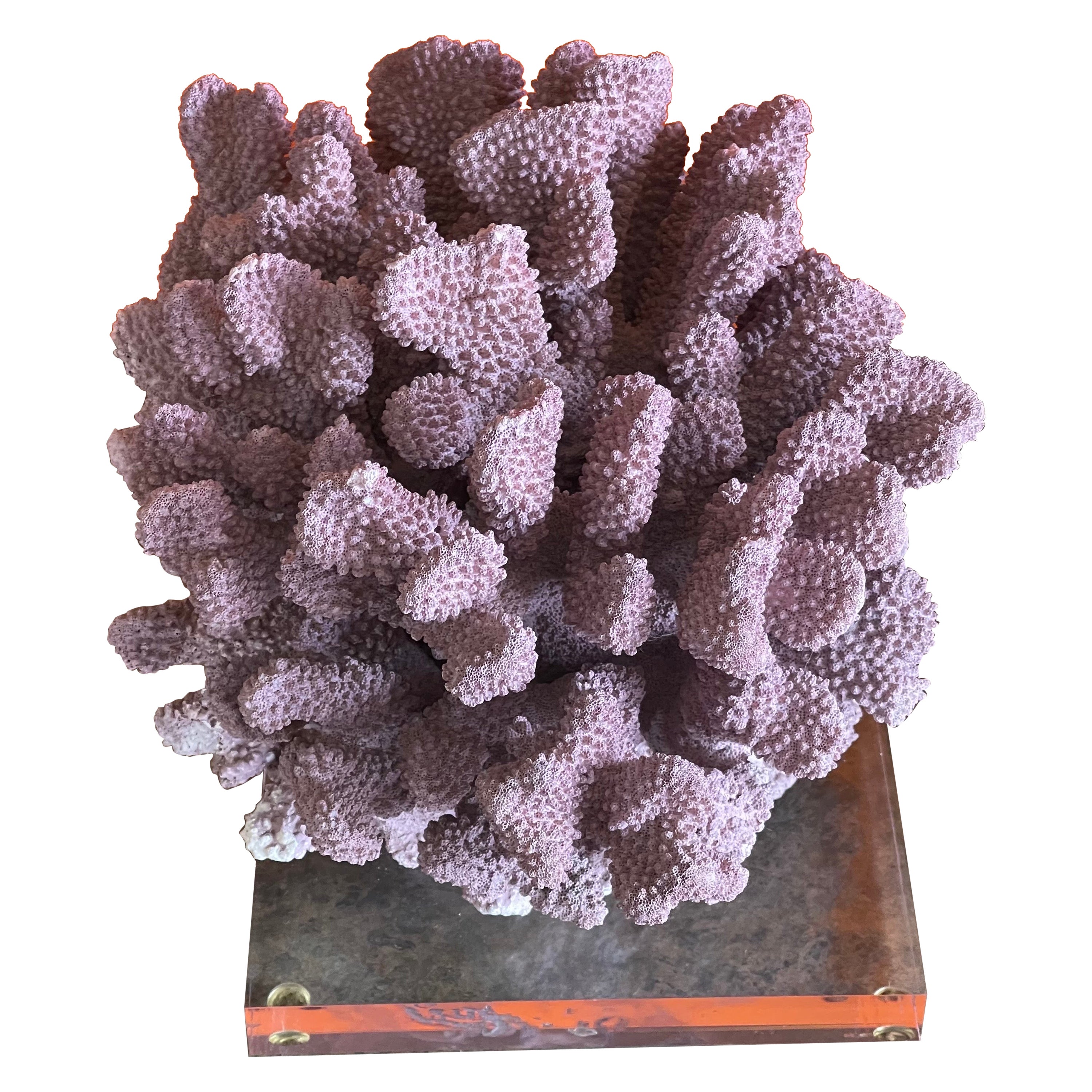 Large Organic Pink Coral Sculptural Specimen on Lucite Base For Sale
