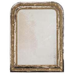 19th Century Louis Phillipe French Giltwood Mirror