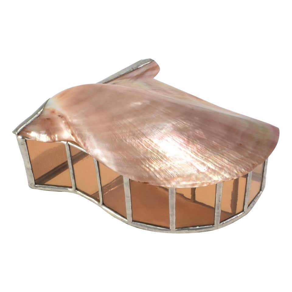 Shell Decorative Boxes - 228 For Sale at 1stDibs