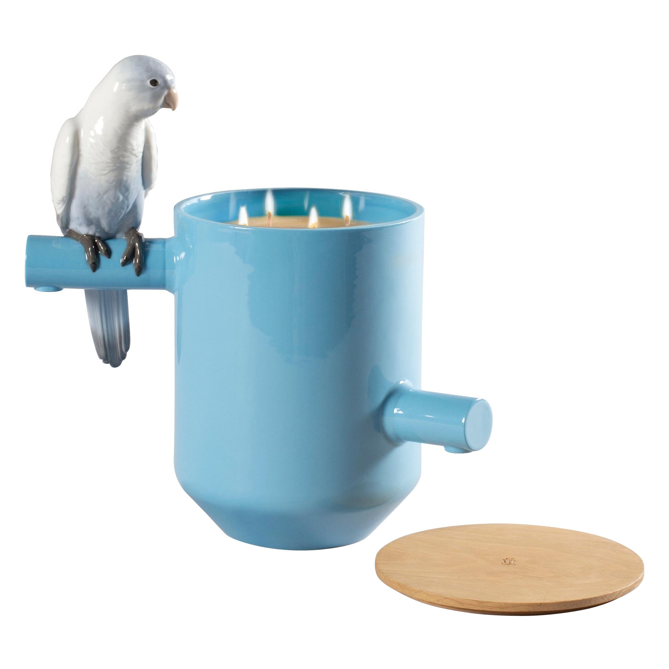 Parrot's Scented Treasure Candle. On the prairie Scent. Blue