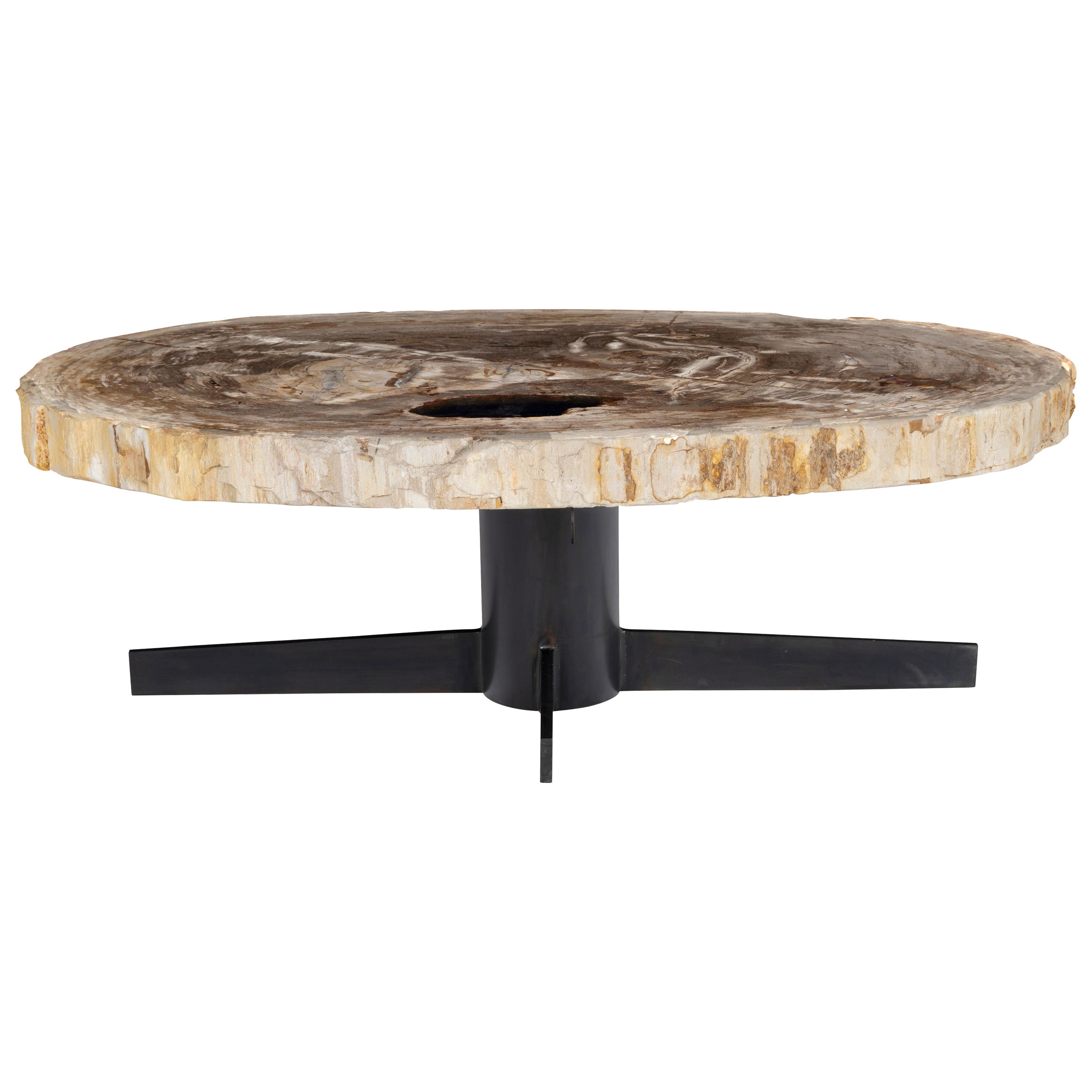 Petrified Wood Coffee Table  For Sale