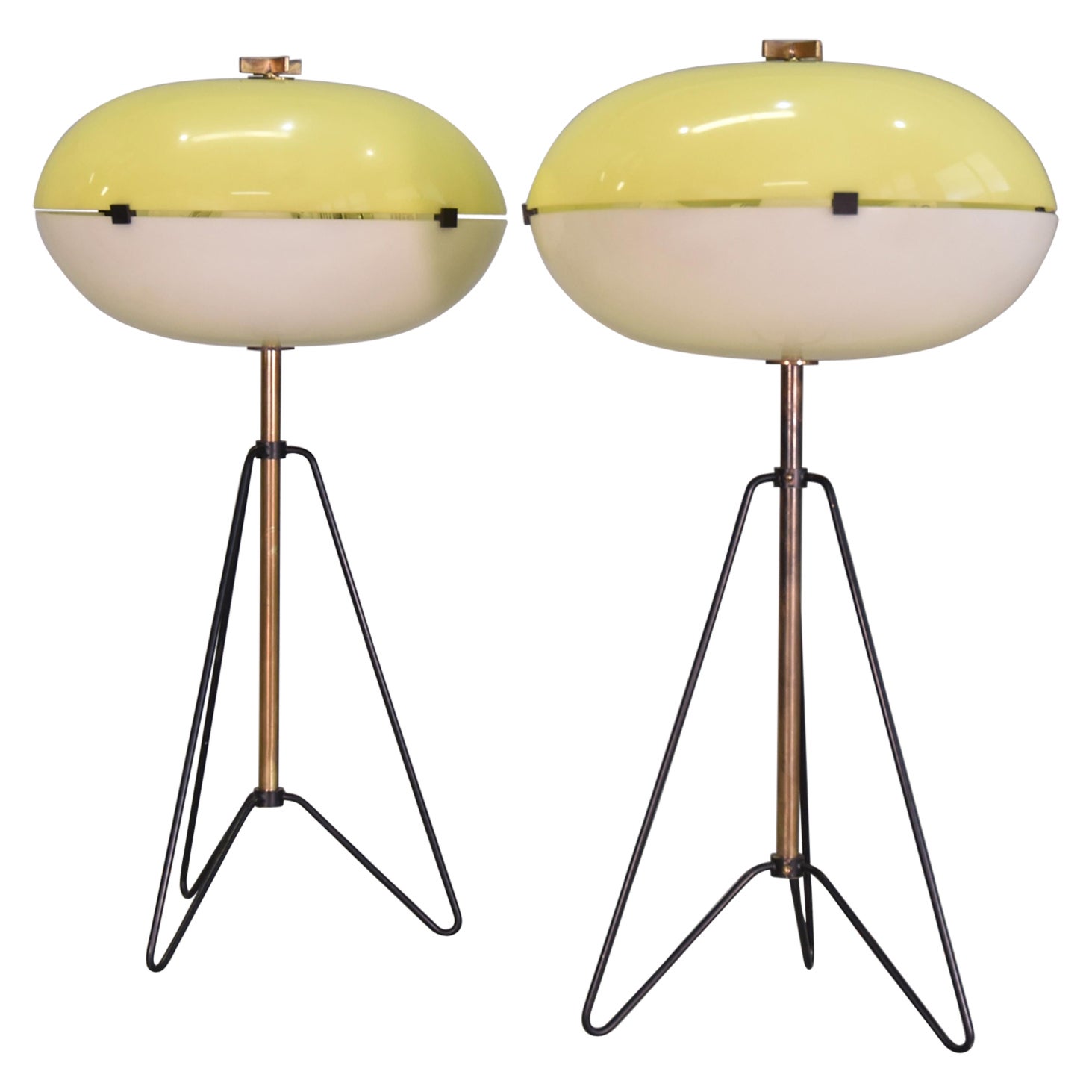 Pair of Large Brass and Methacrylate Lamps Italy 1955 Published For Sale