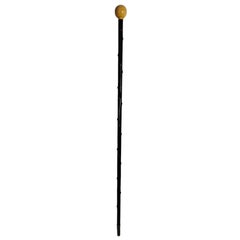 Old Cane From The XIX Century