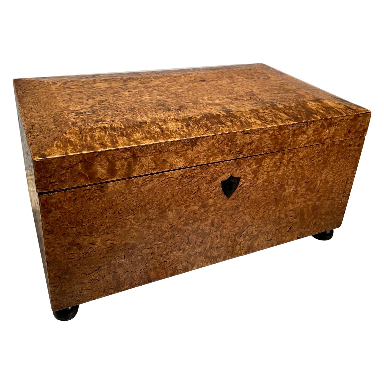 Englische Regency-Schachtel aus Wurzelholzfurnier des 19. Jahrhunderts mit ebonisierten Kugelfüßen 