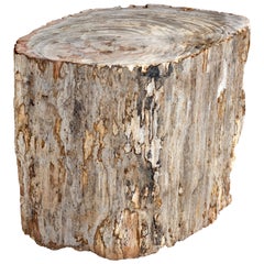 Petrified Wood Side Table with Bark Exterior