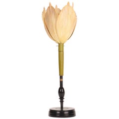 Modèle botanique de tulipe rose pâle, Brendel, Allemagne, 1880.