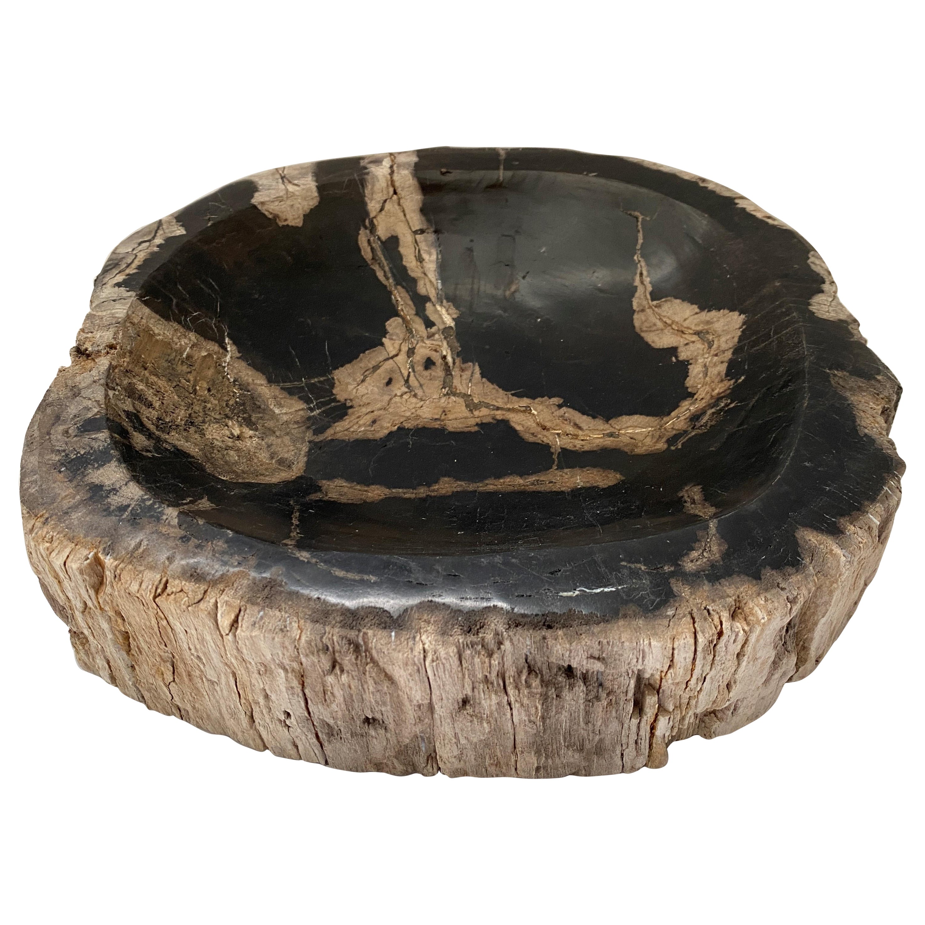 Indonesian Petrified Wood Bowl  For Sale