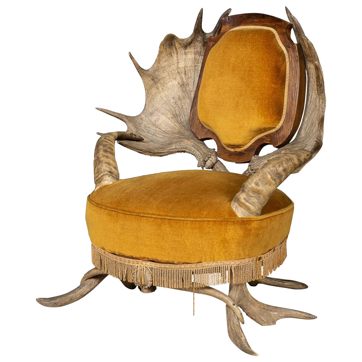 Chaise à trône en corne de fourrure Black Forest du 19e siècle, suisse-allemande