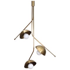 Wing 3 Brass Dome Pendant Lamp by Lamp Shaper