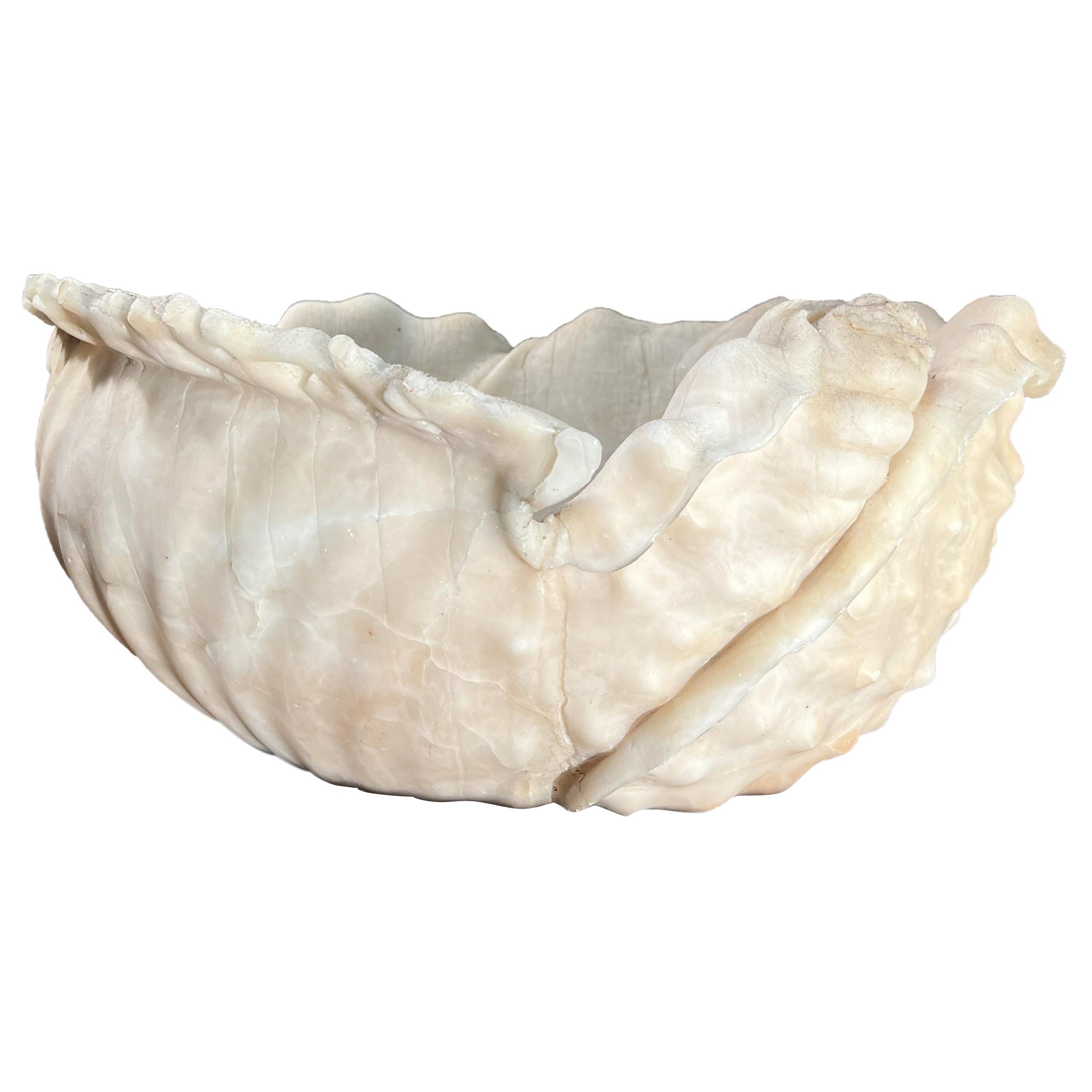 Antique italian Roman Alabaster Shell For Sale