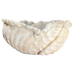 Antique italian Roman Alabaster Shell